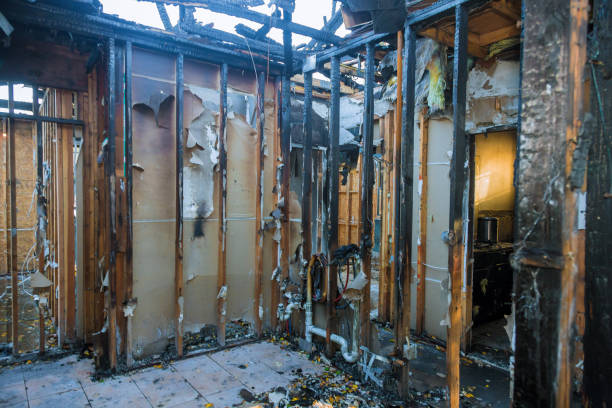 Professional Fire Damage Removal technician working in Harper, TX